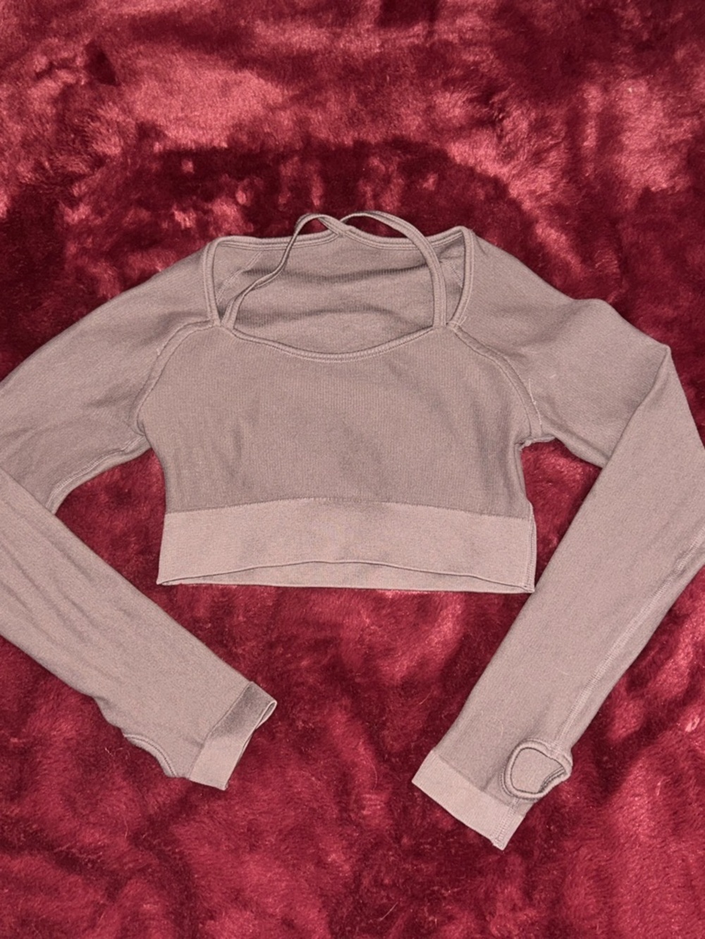 Long Sleeve Crop Top in Mauve - Women's Top